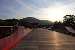 夕阳下的湿地廊桥