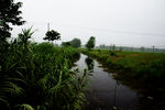 田间小河