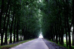 乡村公路