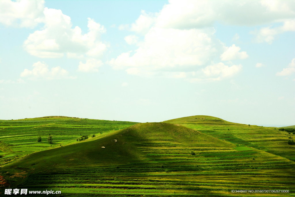 草原风景