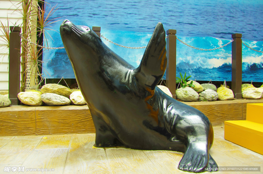 海洋 海狮 雕像