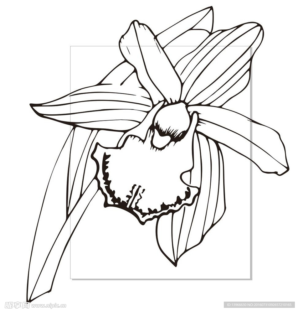 线描花