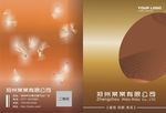 橙色系动感画册封面设计