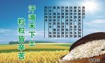 节约粮食