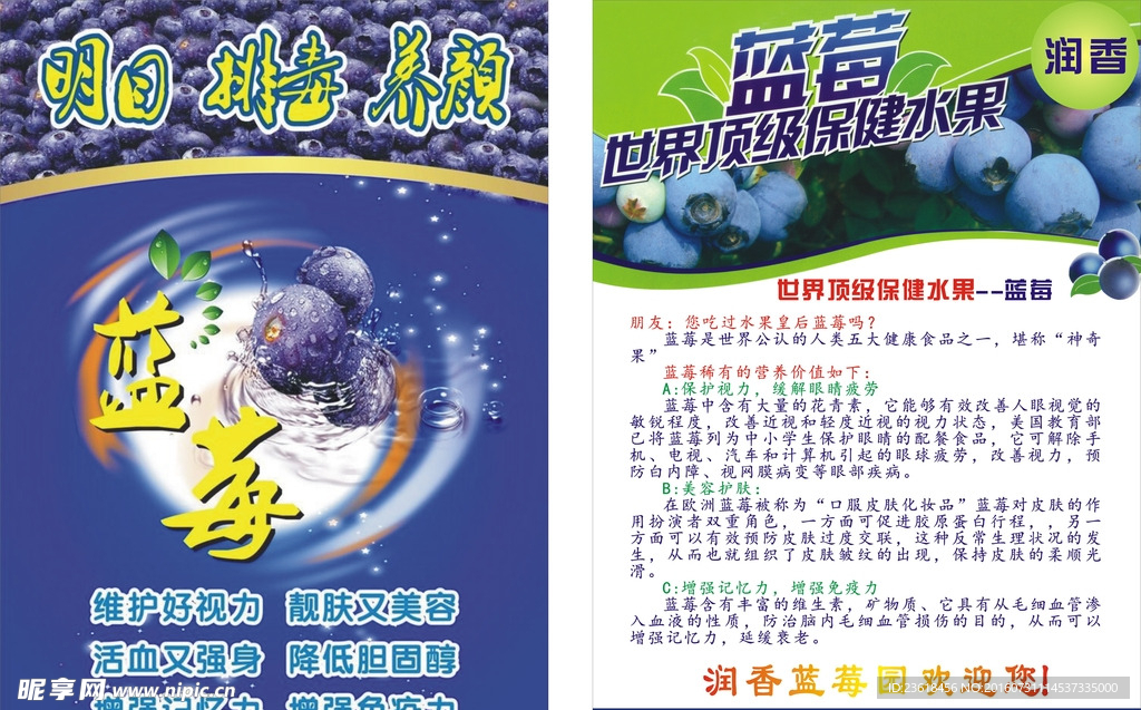 彩页蓝莓