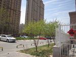 小区绿化景观