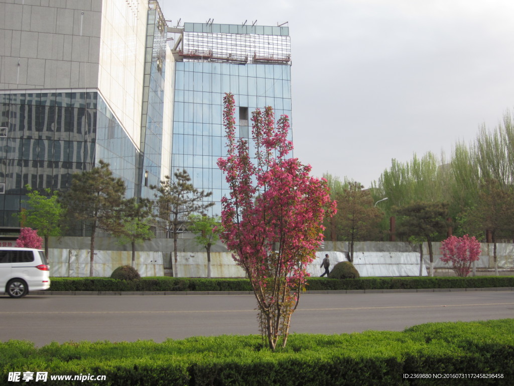 路边的风景