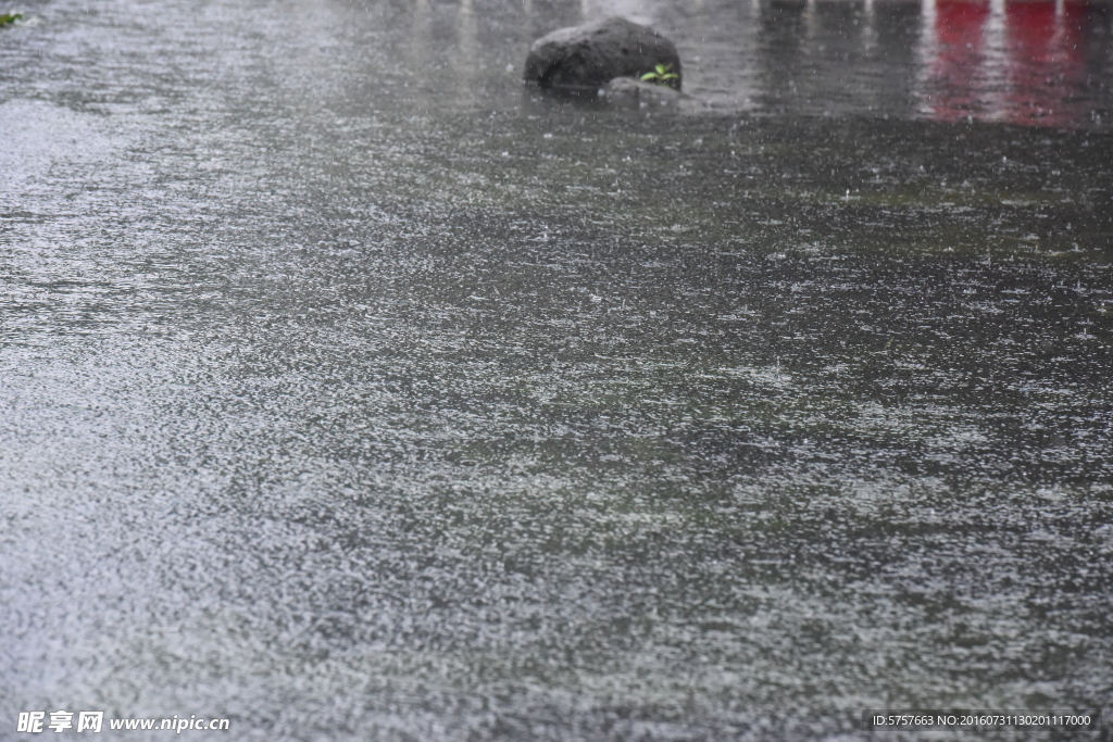 雨