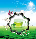 茶杯茶园素材