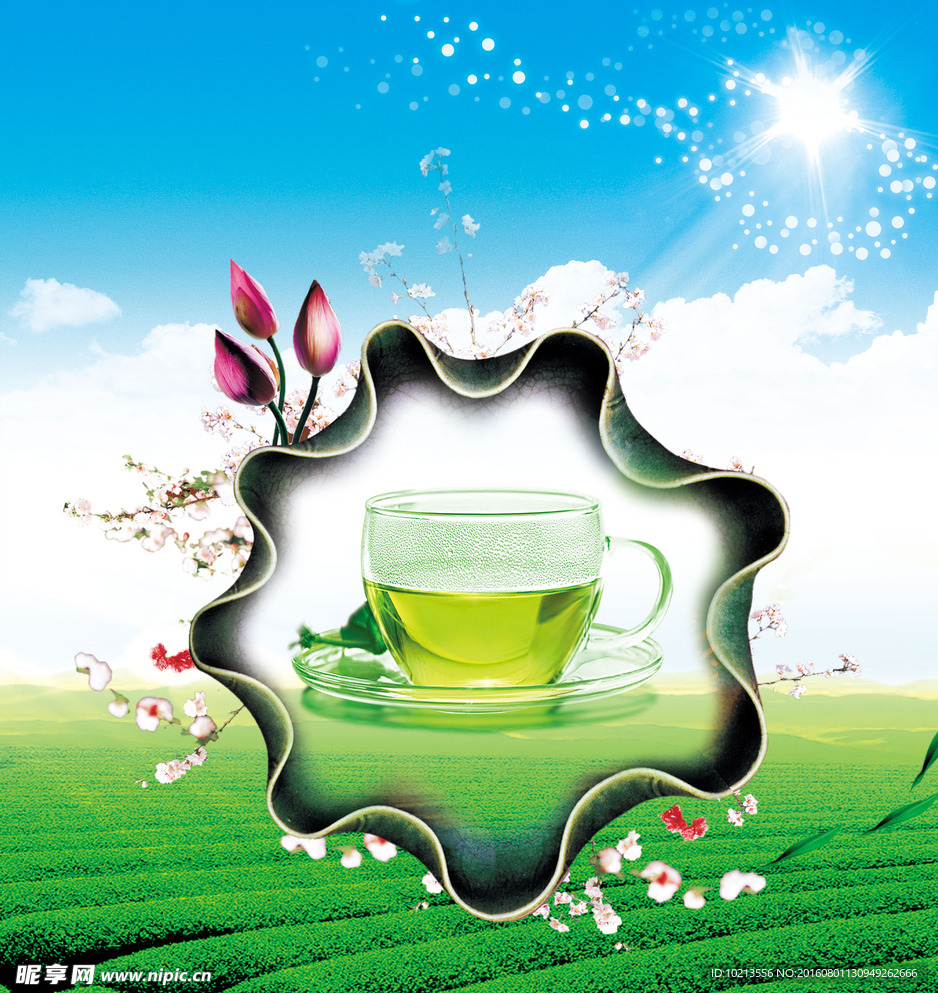 茶杯茶园素材
