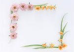鲜花