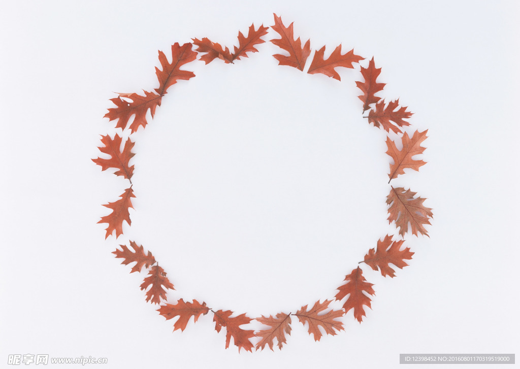 树叶圆环造型