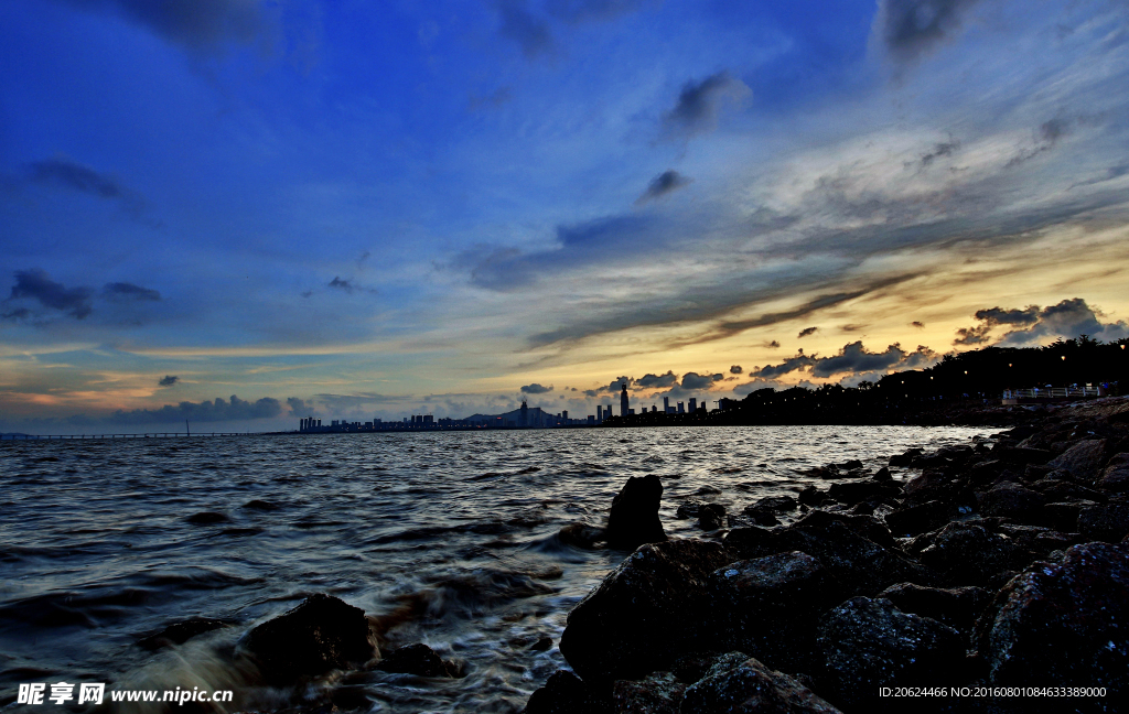 红树林 海景