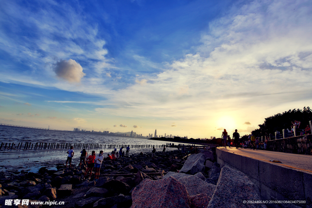 红树林 海景