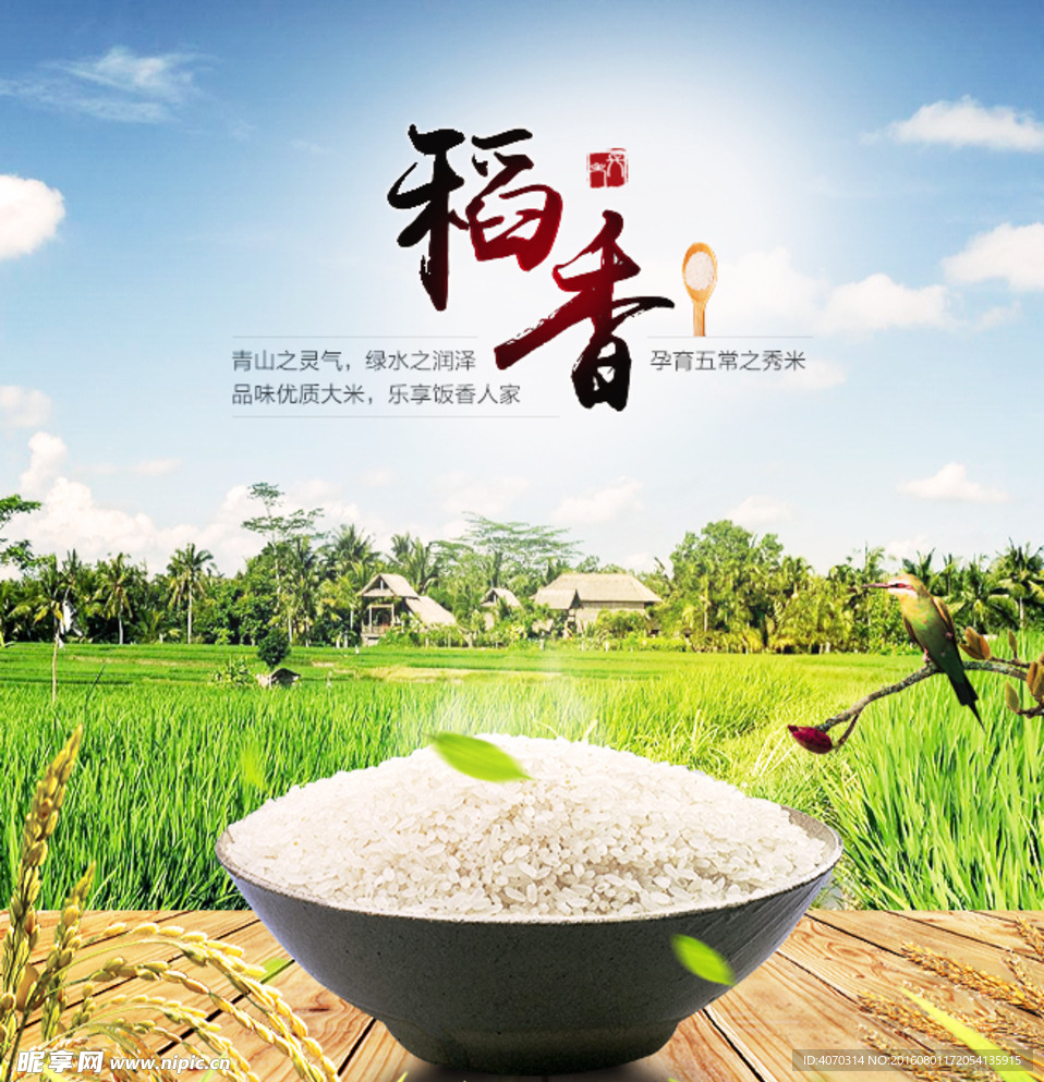 稻香首页主图设计