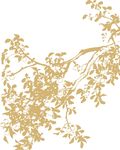 桔子 线描 桔子线描 桔树