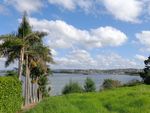 奥克兰海滨自然风景