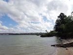 奥克兰海滨风景