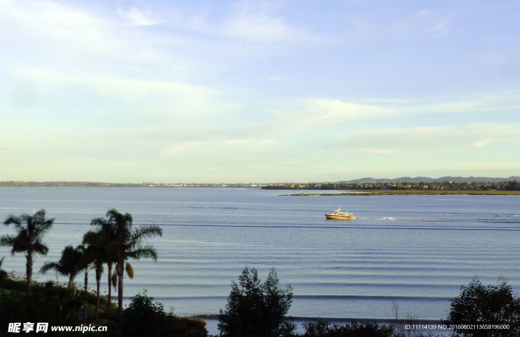 奥克兰海滨自然风景