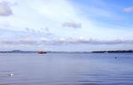 奥克兰海滨风景