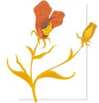 花设计