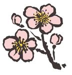 梅花
