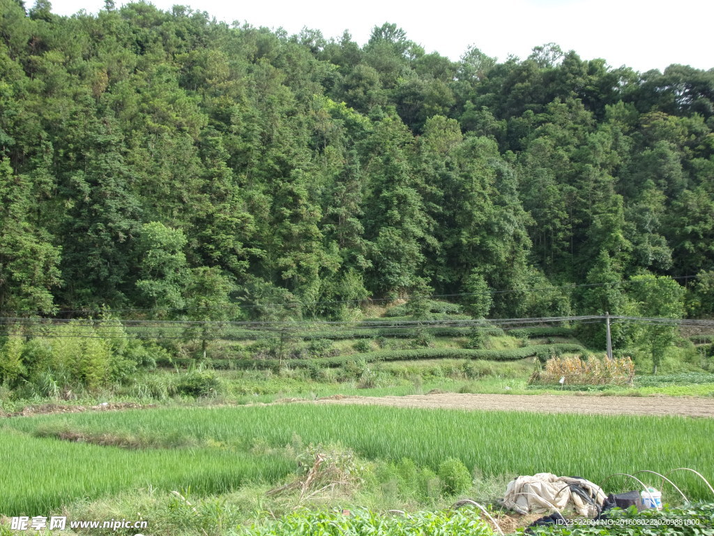 长龙 风景