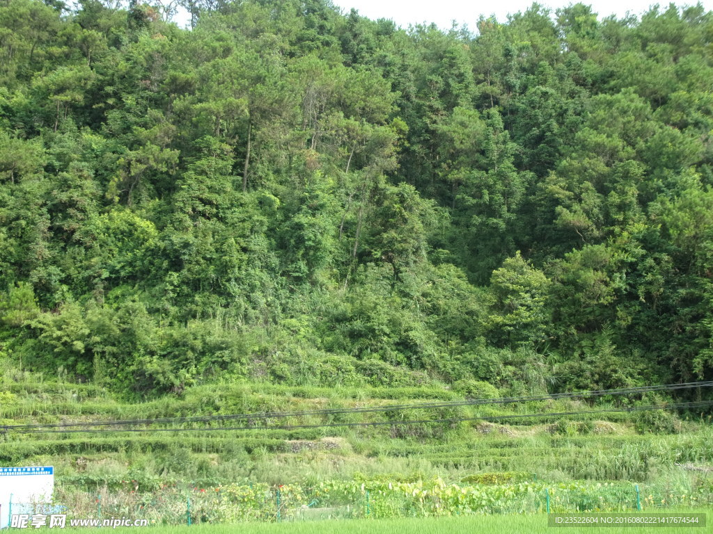 长龙 风景