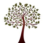 大树插画矢量图