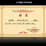 聘书模板