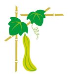 丝瓜
