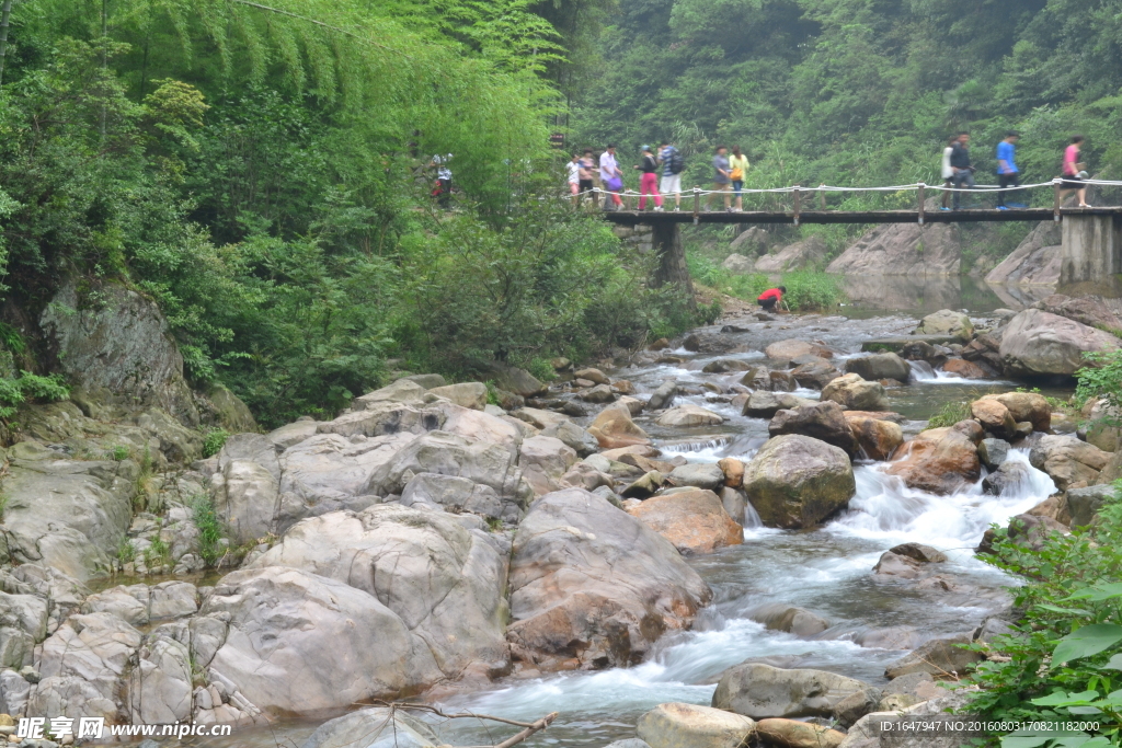 小溪与桥