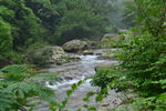 白岩溪