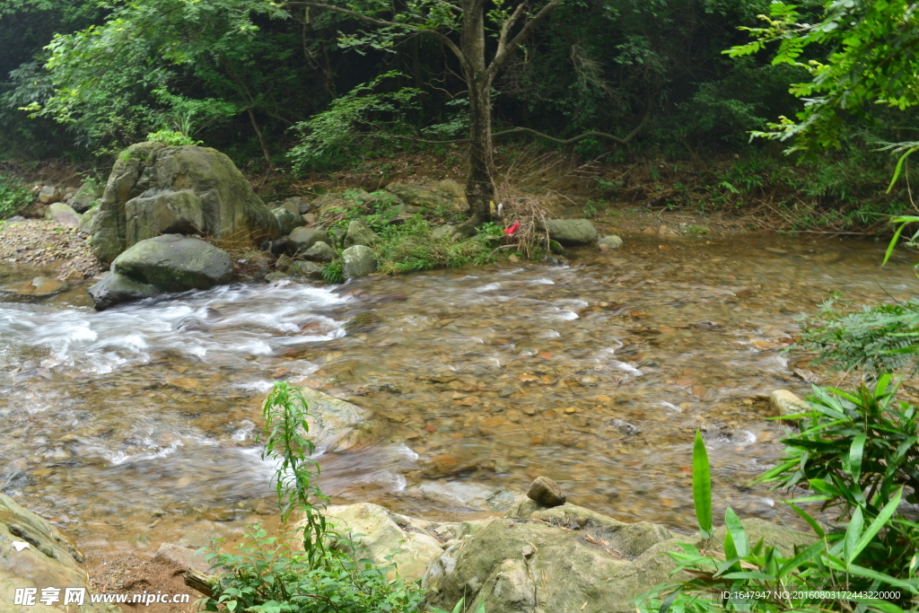 白岩溪