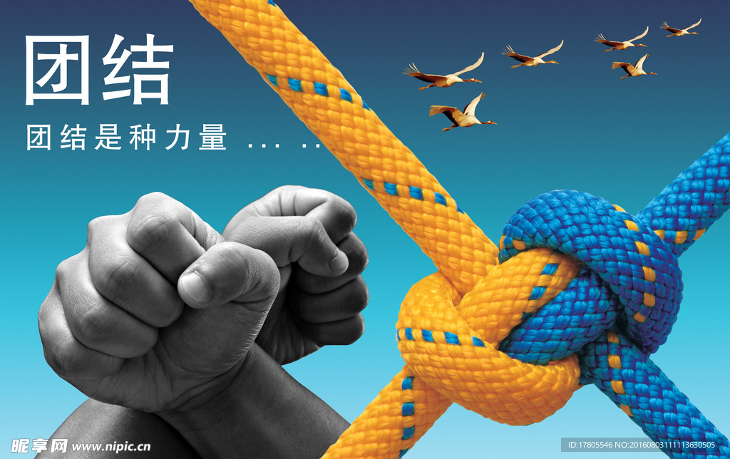 团队海报