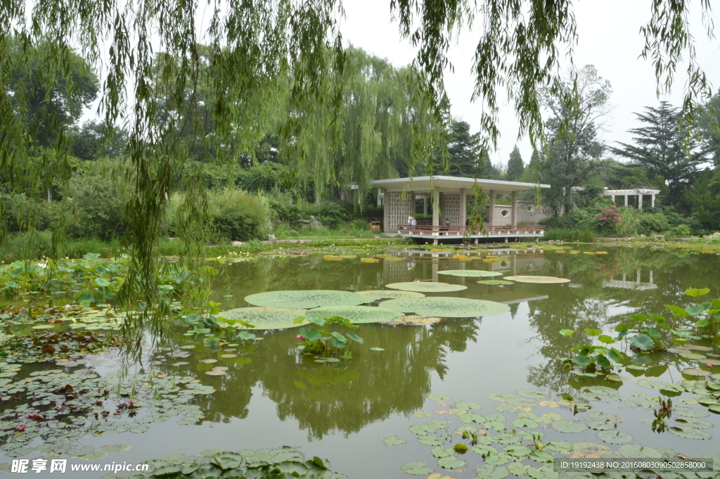 南植物园风景