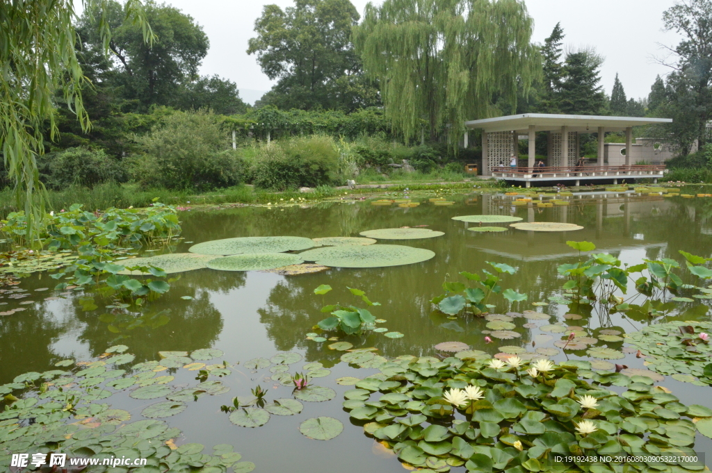 南植物园风景