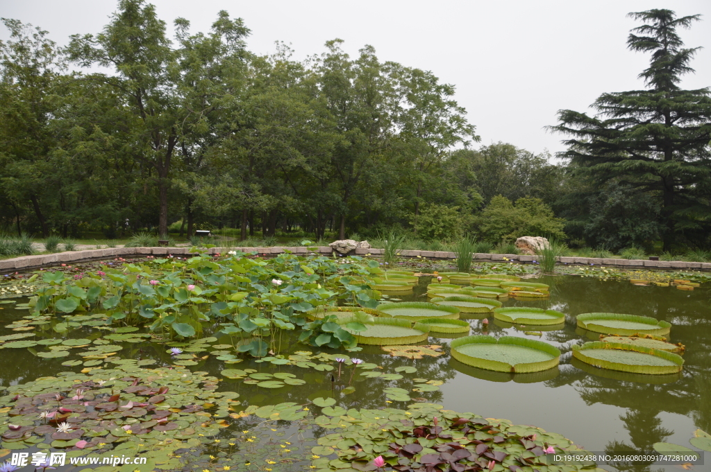 南植物园风景
