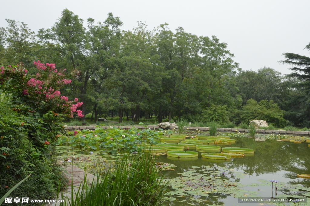 南植物园风景