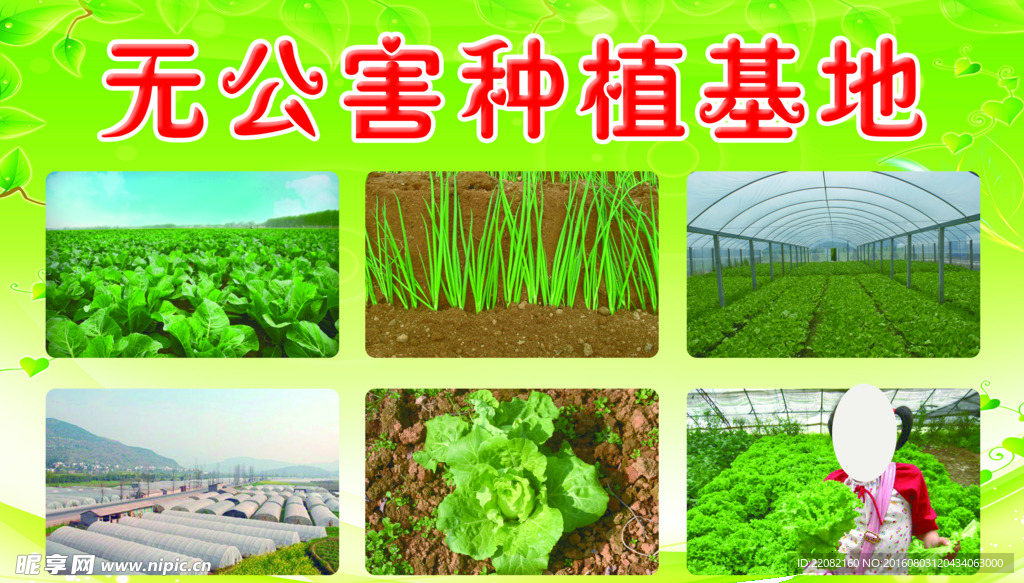 无公害种植基地大棚