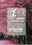 四季创意排版设计