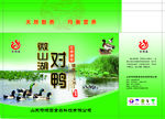 微山湖对鸭