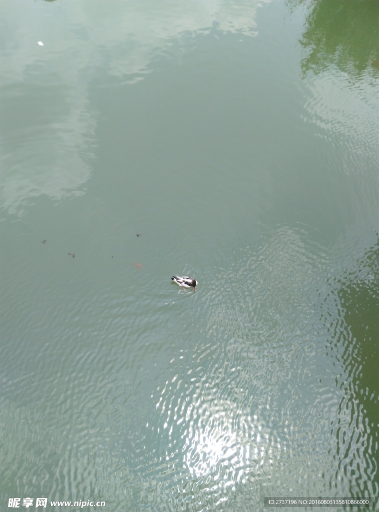 湖面