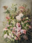 丁香花