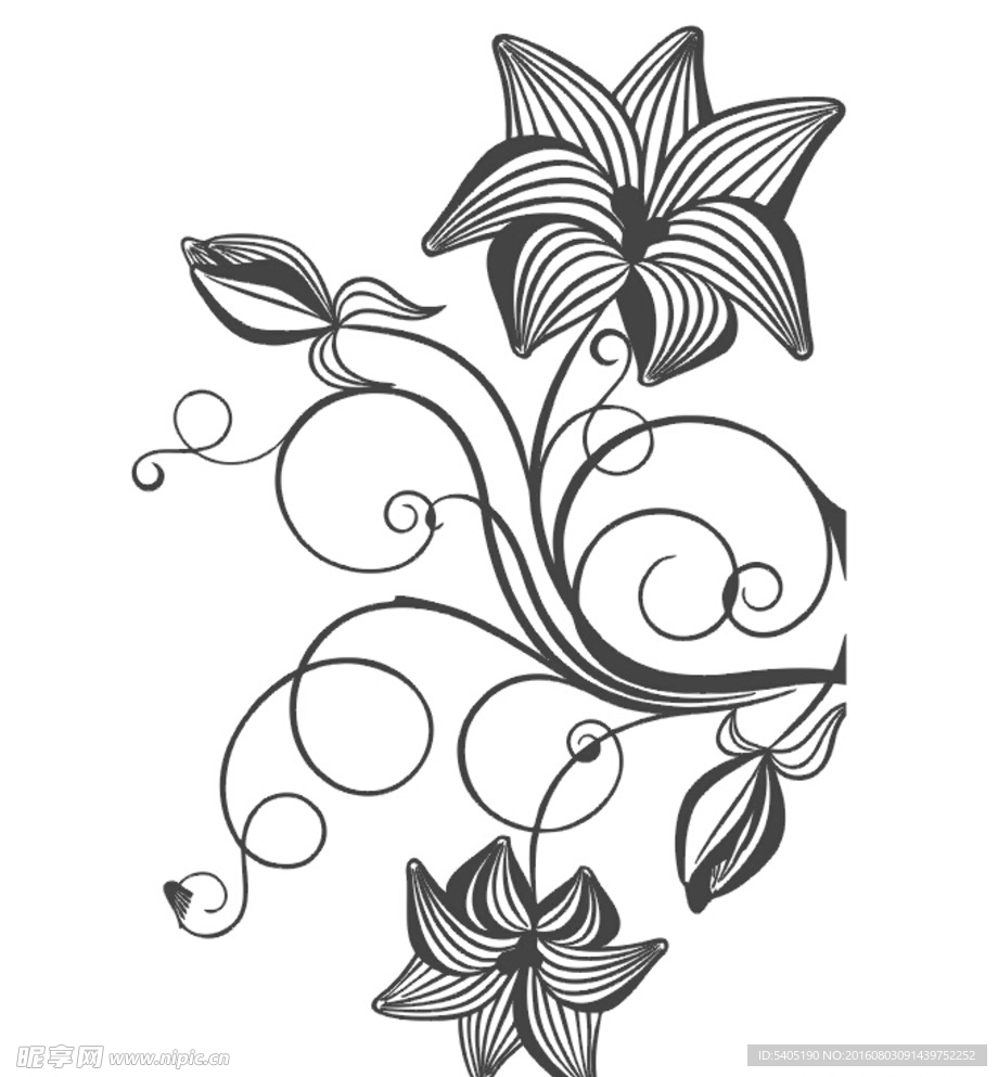 藤蔓花