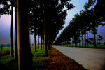 村村通公路