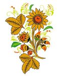 花朵插画图案