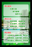 养生理念