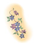 紫色花