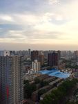 城市